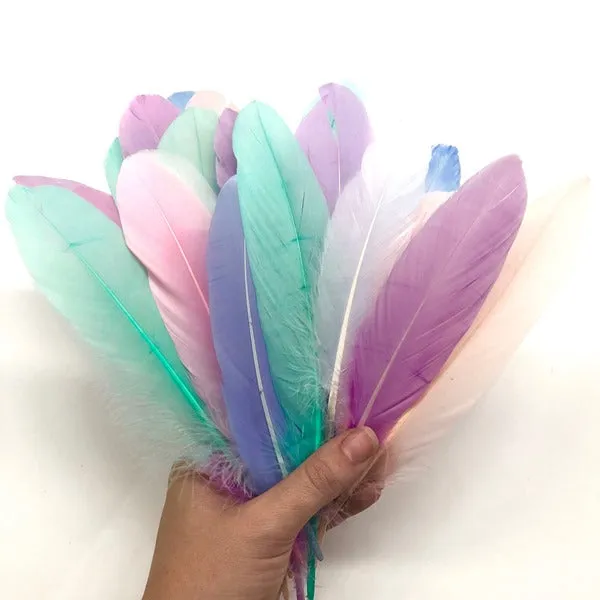 Goose Pointer Feathers 50 pcs - Pastel Assorted