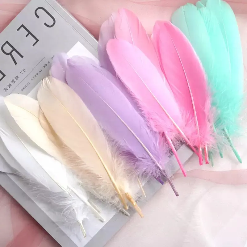 Goose Pointer Feathers 50 pcs - Pastel Assorted