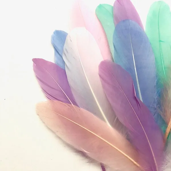 Goose Pointer Feathers 50 pcs - Pastel Assorted