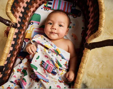 Halcyon Nights - Fitted Bassinet Sheet - LORRIES