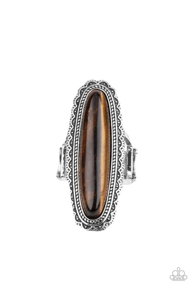 Paparazzi Ring ~ Eco Equinox - Brown