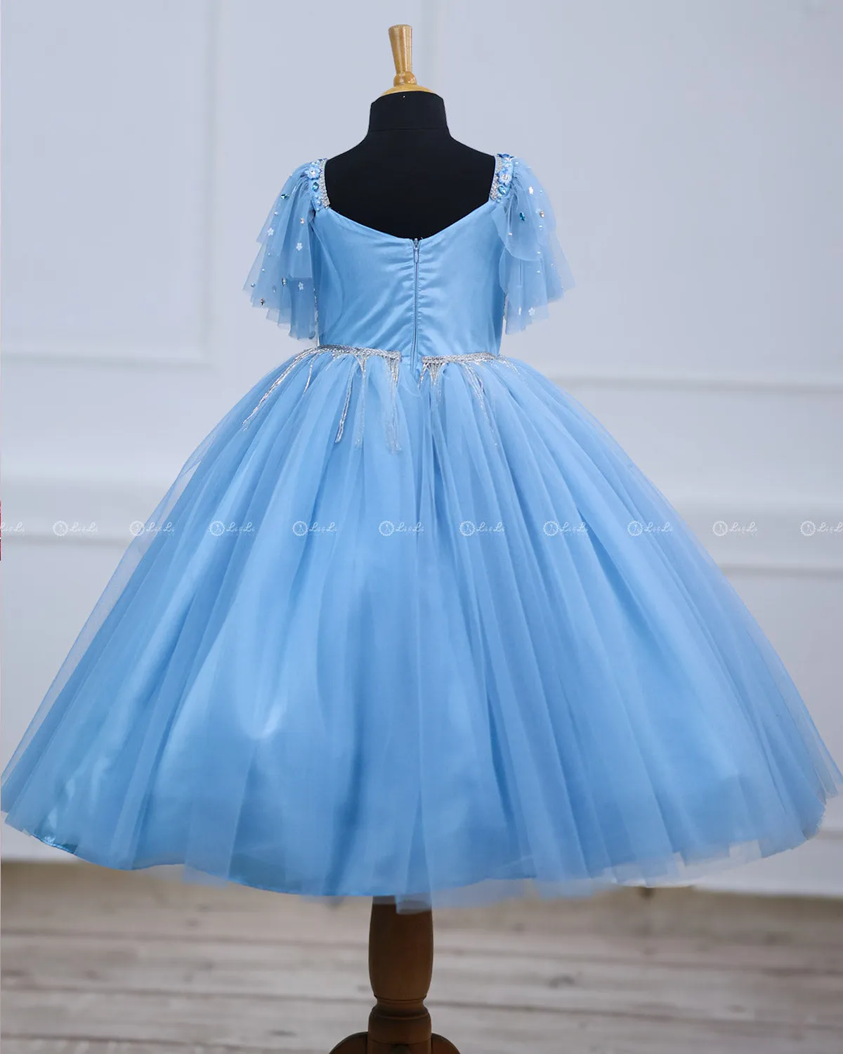 Pastel Aqua Blue Gown with Intricate Handworks