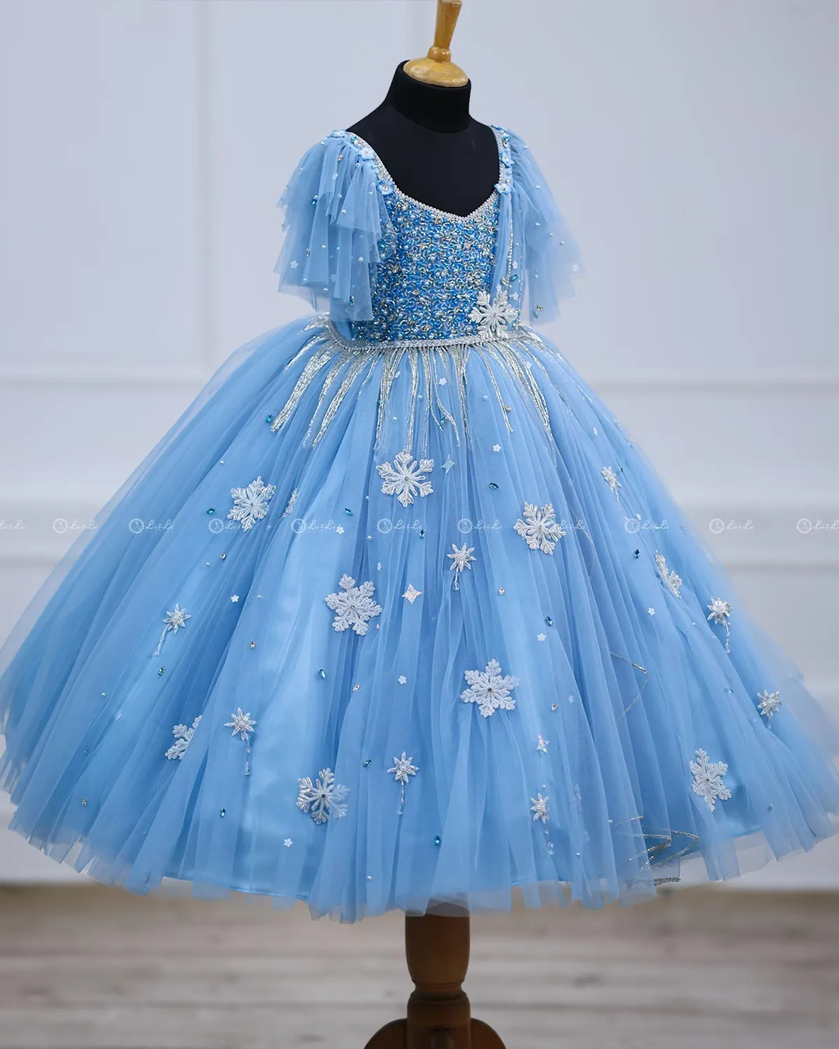 Pastel Aqua Blue Gown with Intricate Handworks