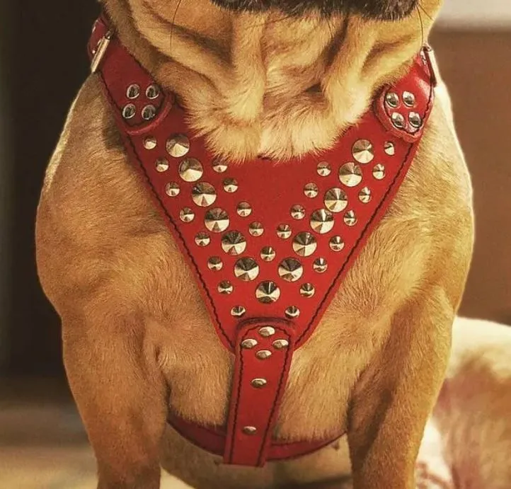 STAR LEATHER HARNESS - GENUINE LEATHER - HANDCRAFTED - IMPORTED