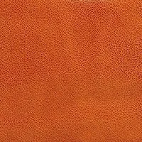 Stellar Stud Tote